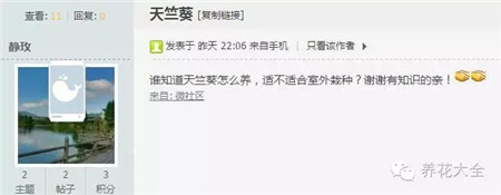 天竺葵適合室外栽種嗎？